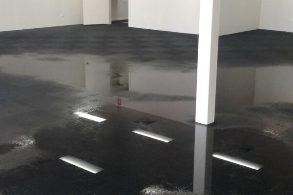 flood restoration by adam steam cleaning