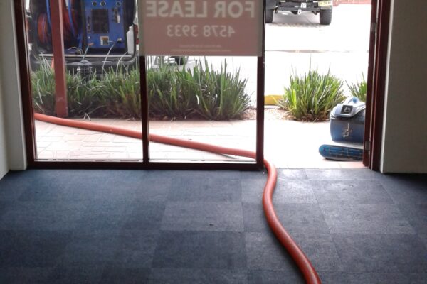 industrial carpet cleaning by adam steam cleaning