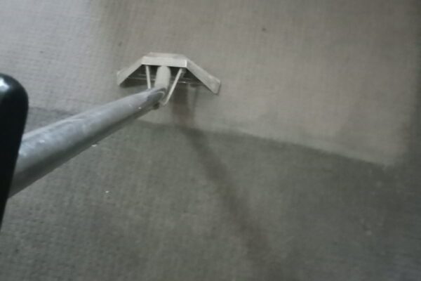 Carpet Cleaning by Adam Steam Cleaning