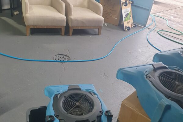 Upholstery Cleaning By Adam Steam Cleaning